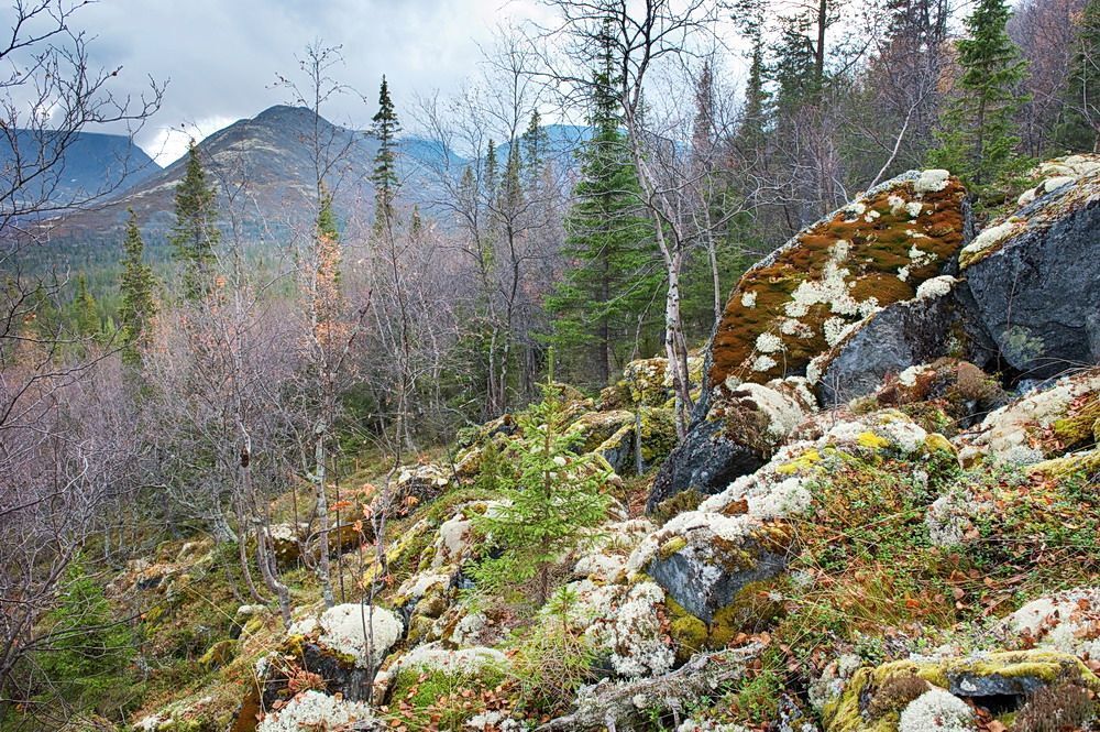 Кольская осень ч.4