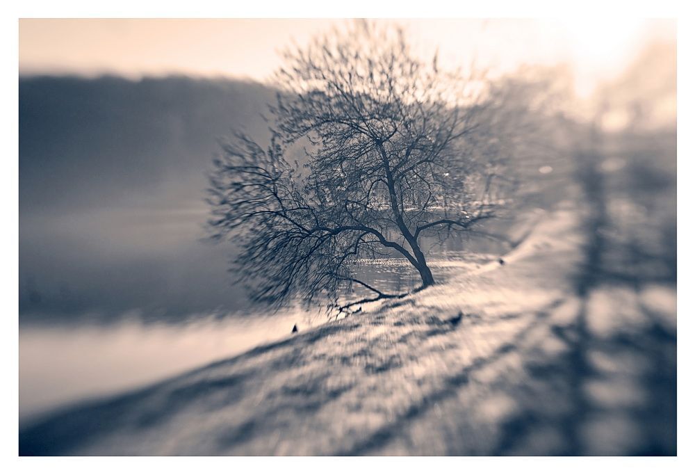 По Царицино с Lensbaby  ч.2