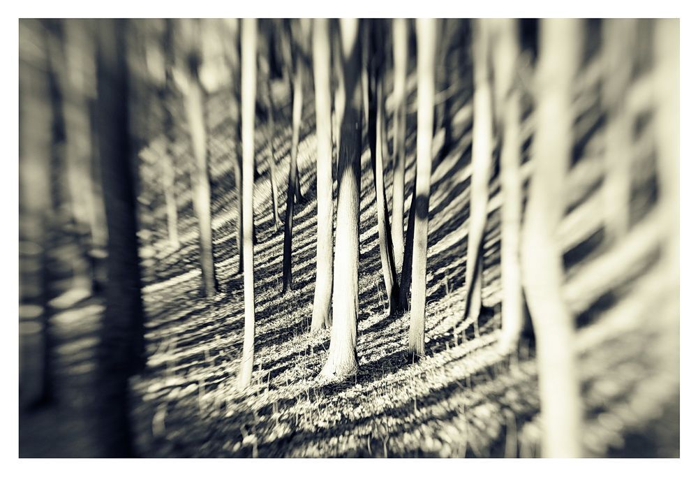 По Царицино с Lensbaby  ч.2