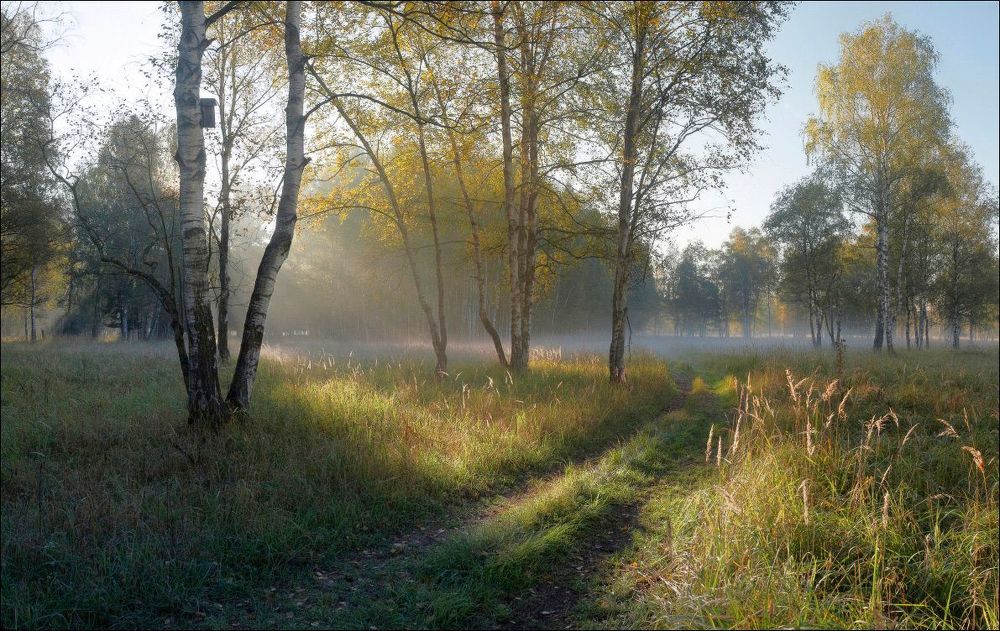 Осенним утром в заповеднике.