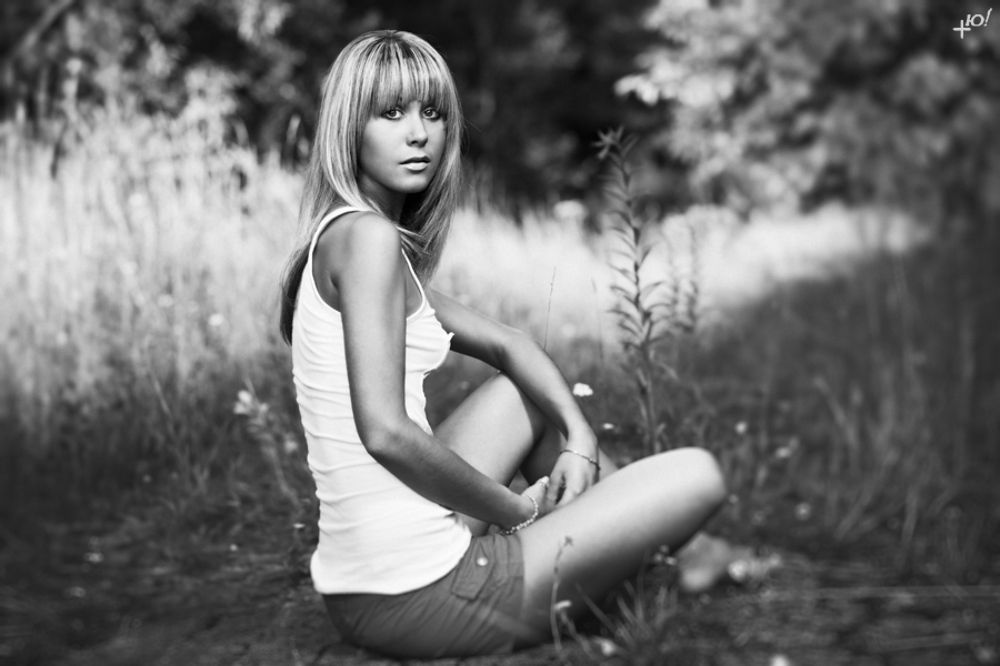 Photo 17566