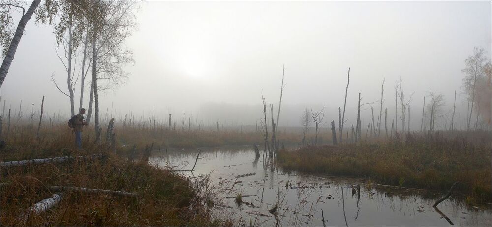 Там, где бродит фотограф.