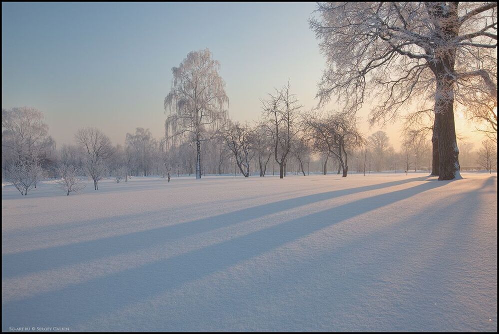 Зима в Царицино