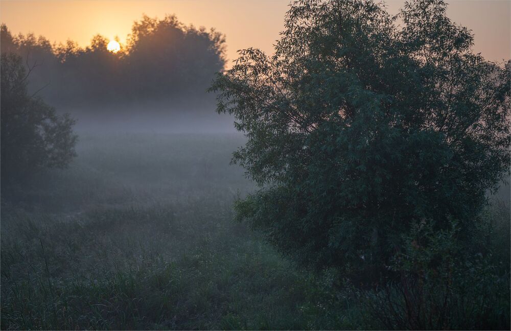 июнь на старицах...