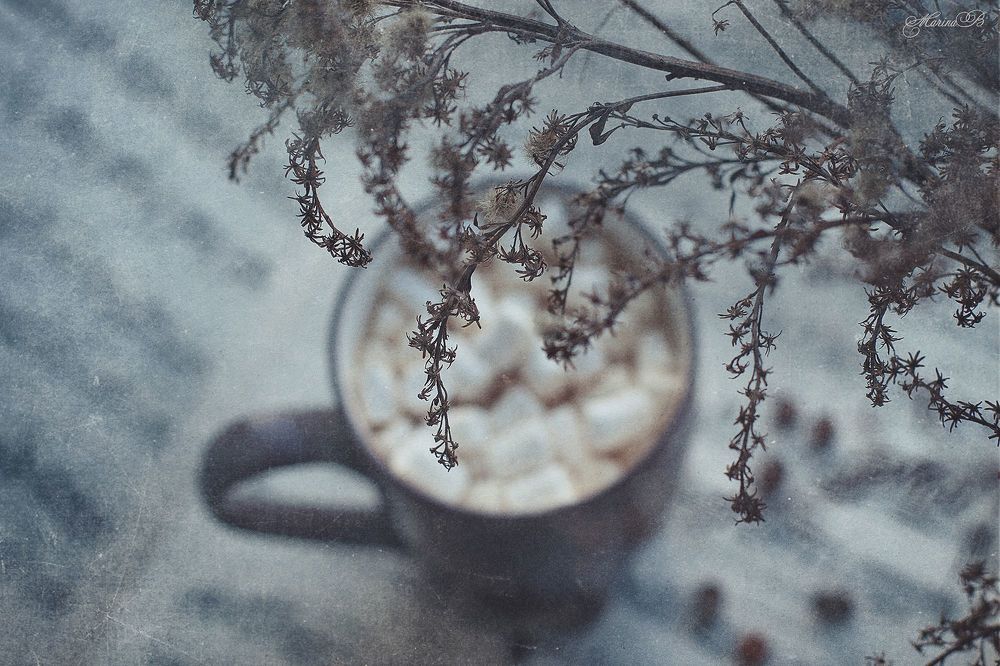 Мелодия апрельского утра