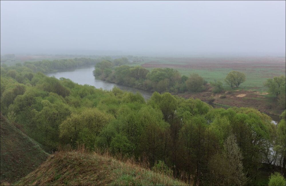 Уплывая в туман вдоль молодой зелени