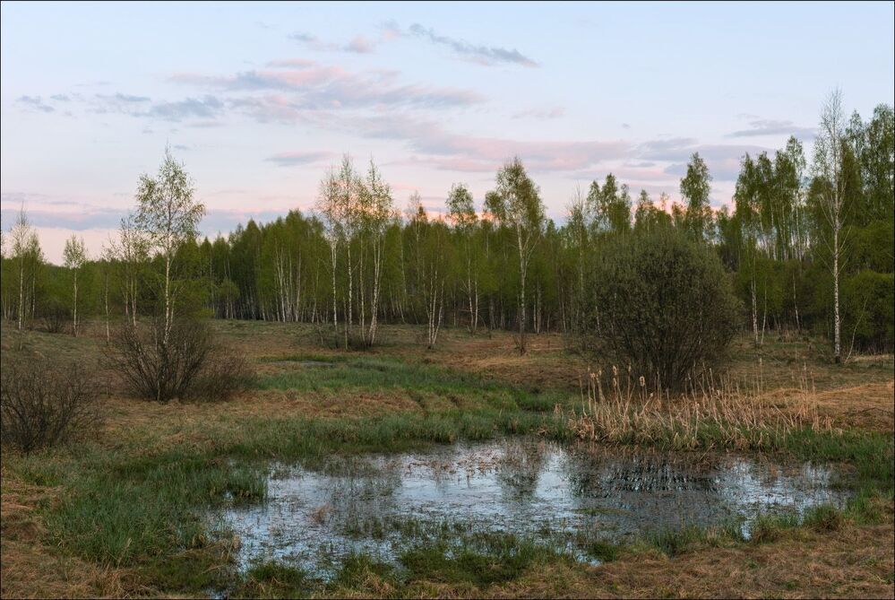 В природе смена нарядов. Начало сумерек.