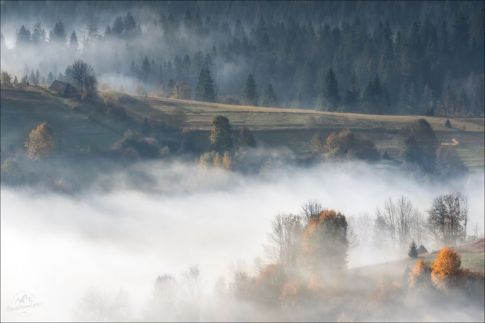 Beautiful Карпати