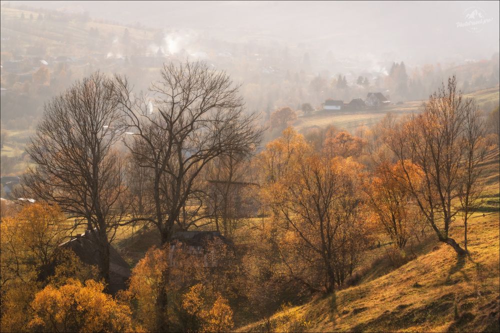 Beautiful Карпати