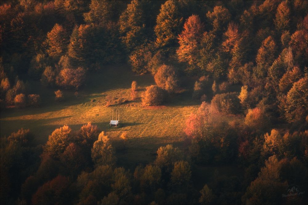 Beautiful Карпати