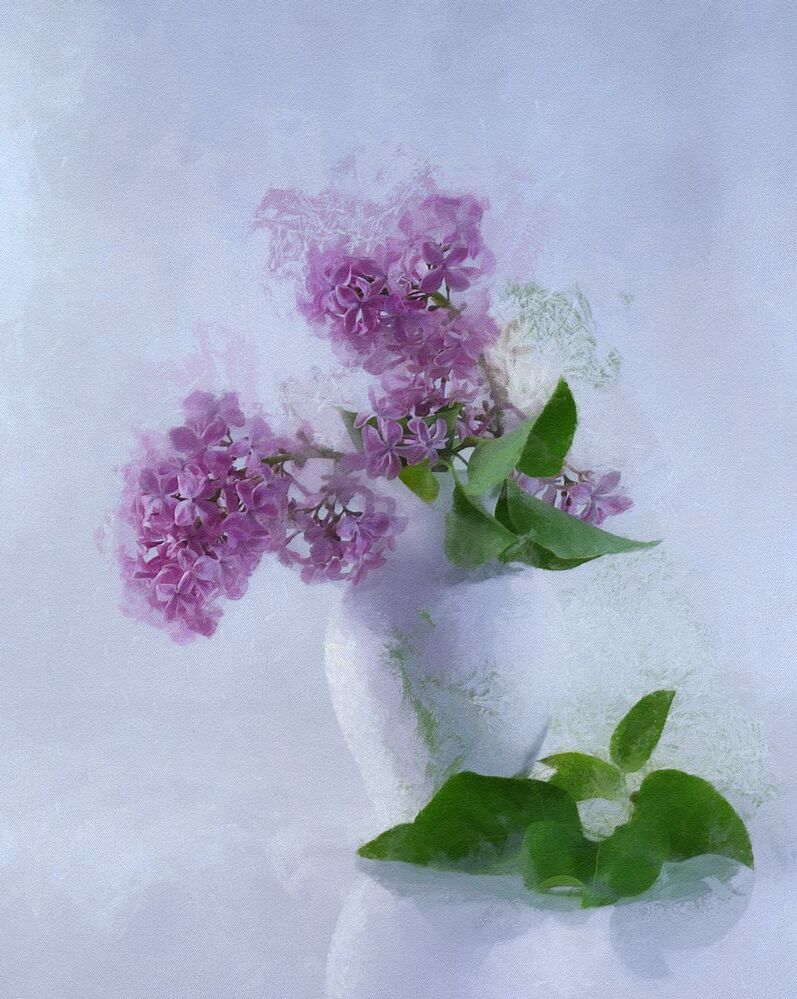 букетик сирени