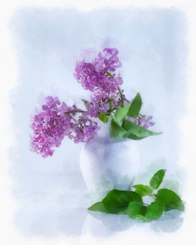 букетик сирени