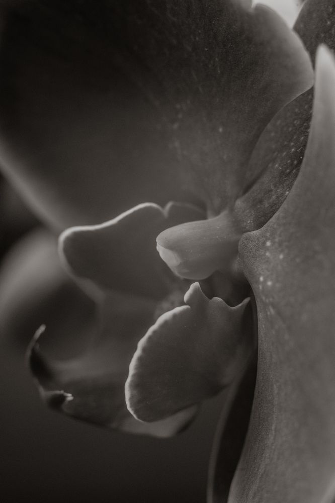 Photo 1701554