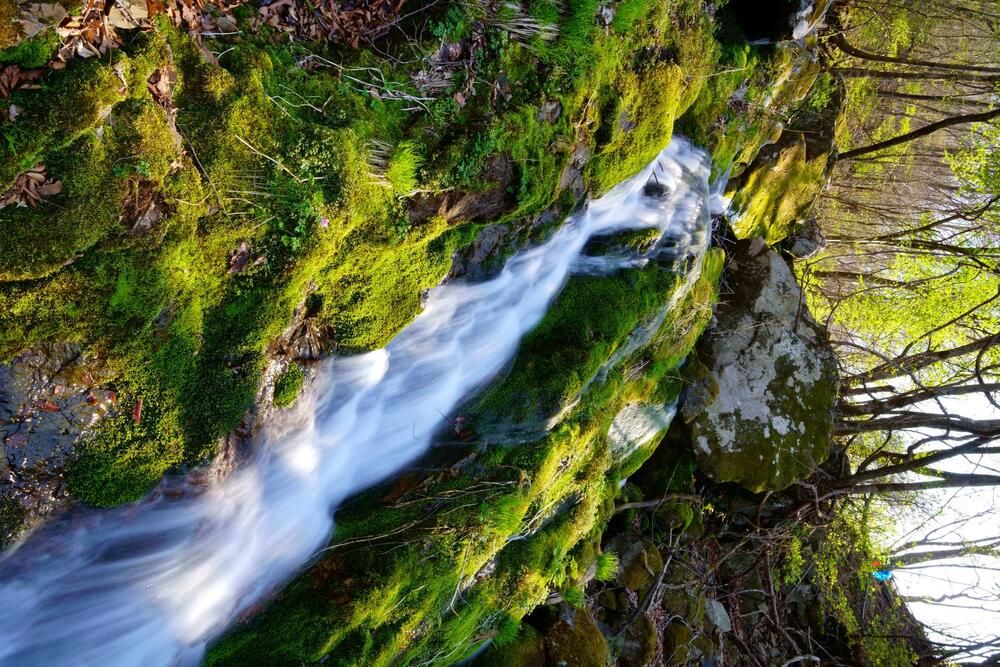 Moss waterfall in early spring