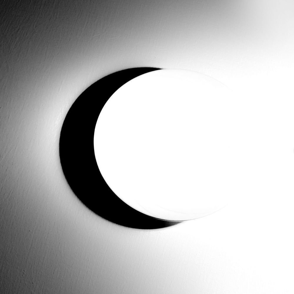 Photo 1702659