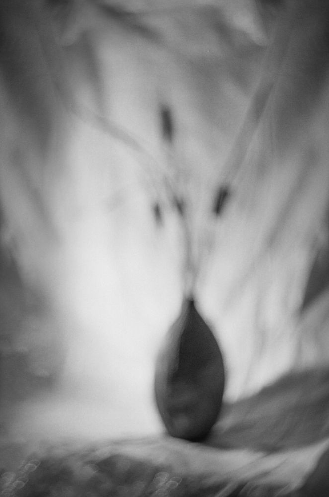 Photo 1702661