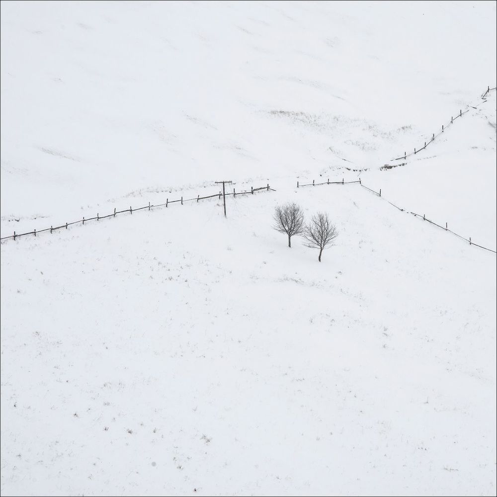 winter minimalizt