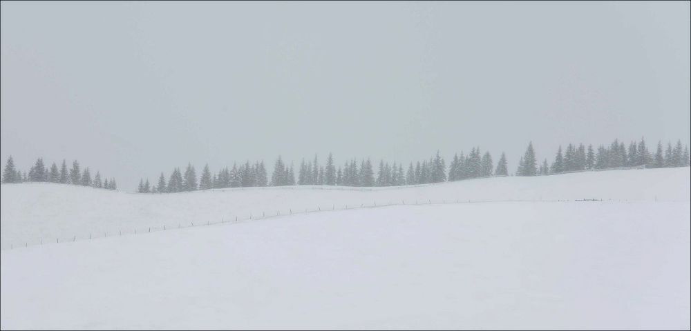 winter minimalizt