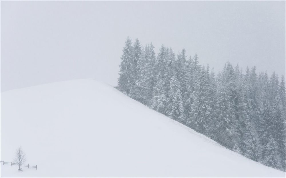 winter minimalizt