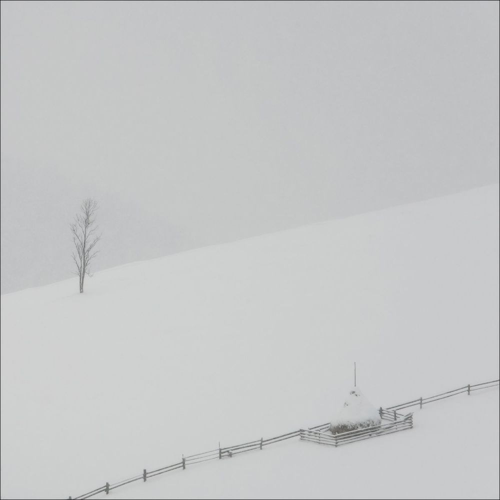 winter minimalizt