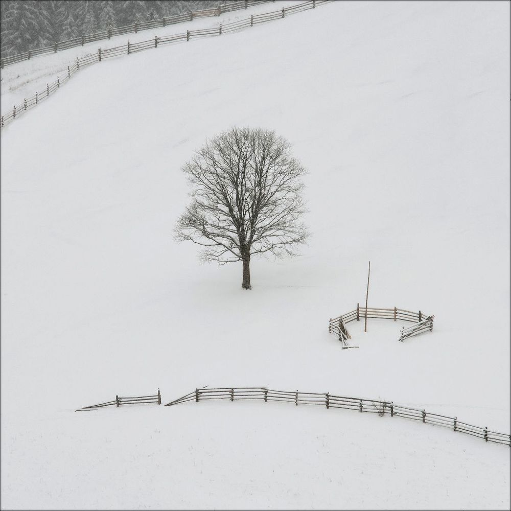winter minimalizt