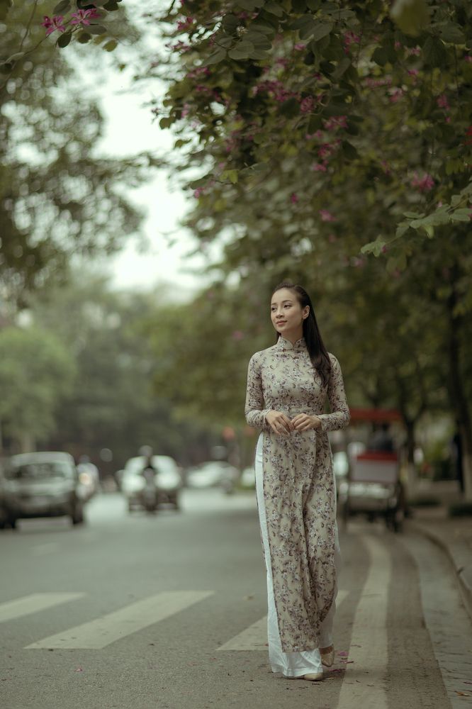 Vietnamese lady