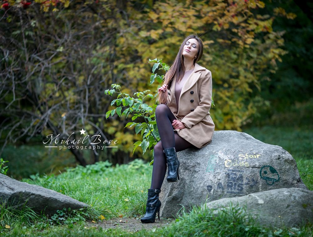 Photo 1703452