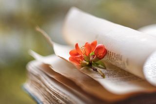 Весна — время возрождения и новых начал. Для некоторых шанс перевернуть новую страницу. Для других — удивление неожиданному.