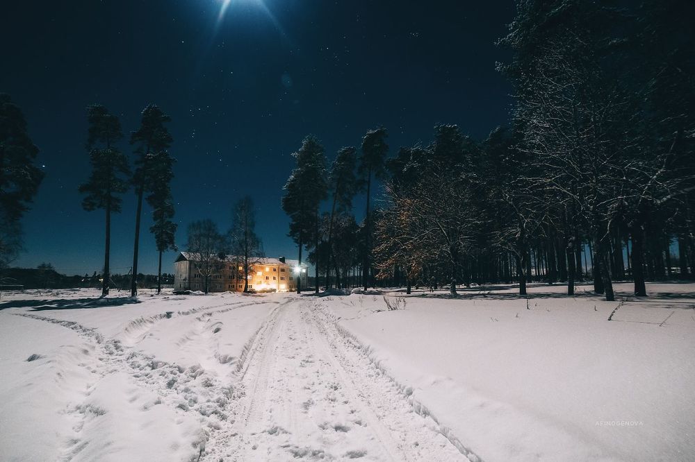 Ночная прогулка
