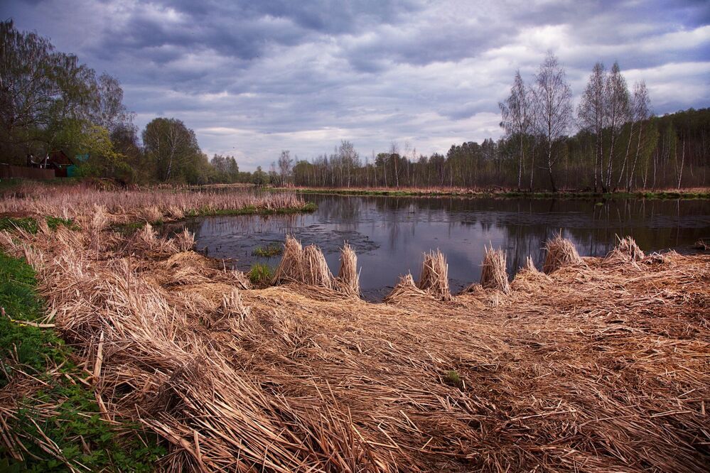 Прогулка по Клязьме