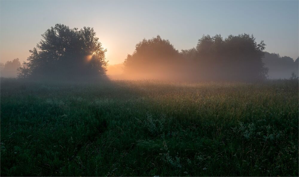 beauty of the morning meadow...