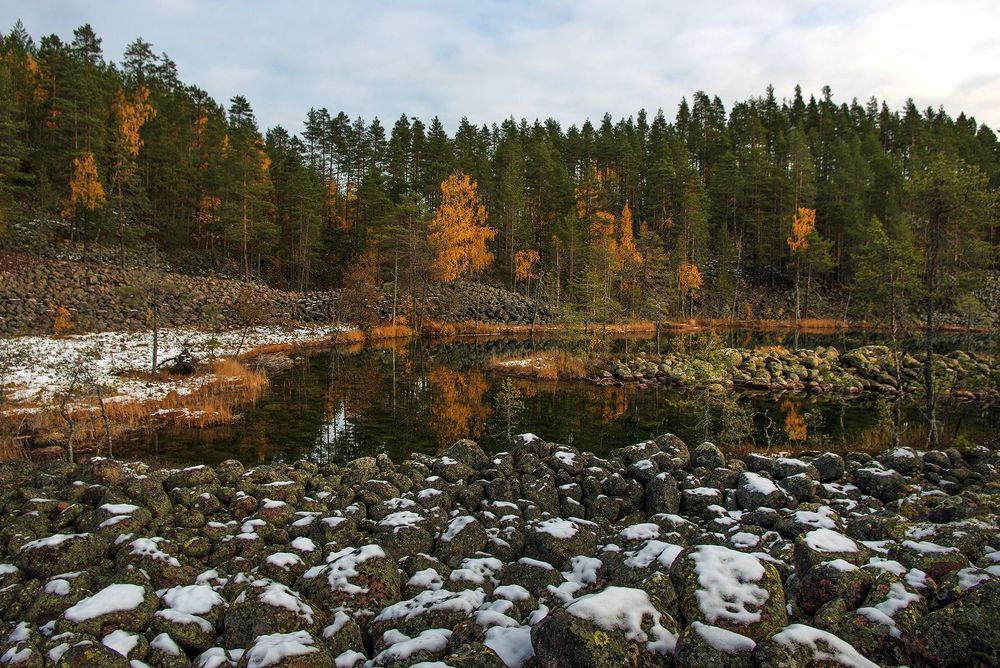 Рыжая осень