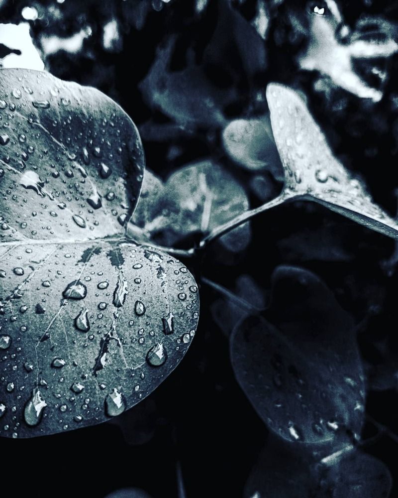 Photo 1705736