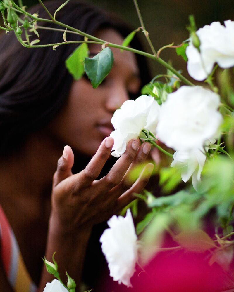 Rising flower.