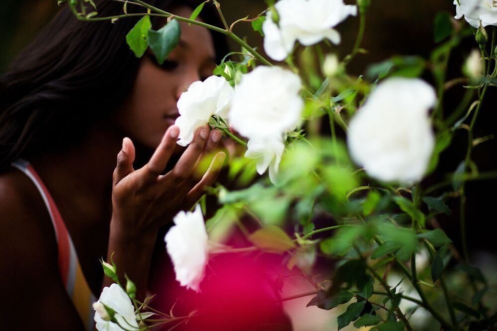 Rising flower.