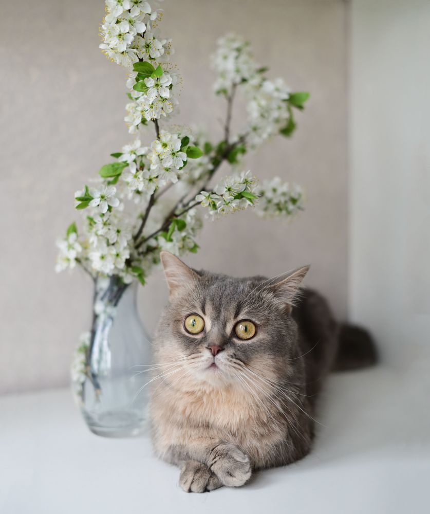 May