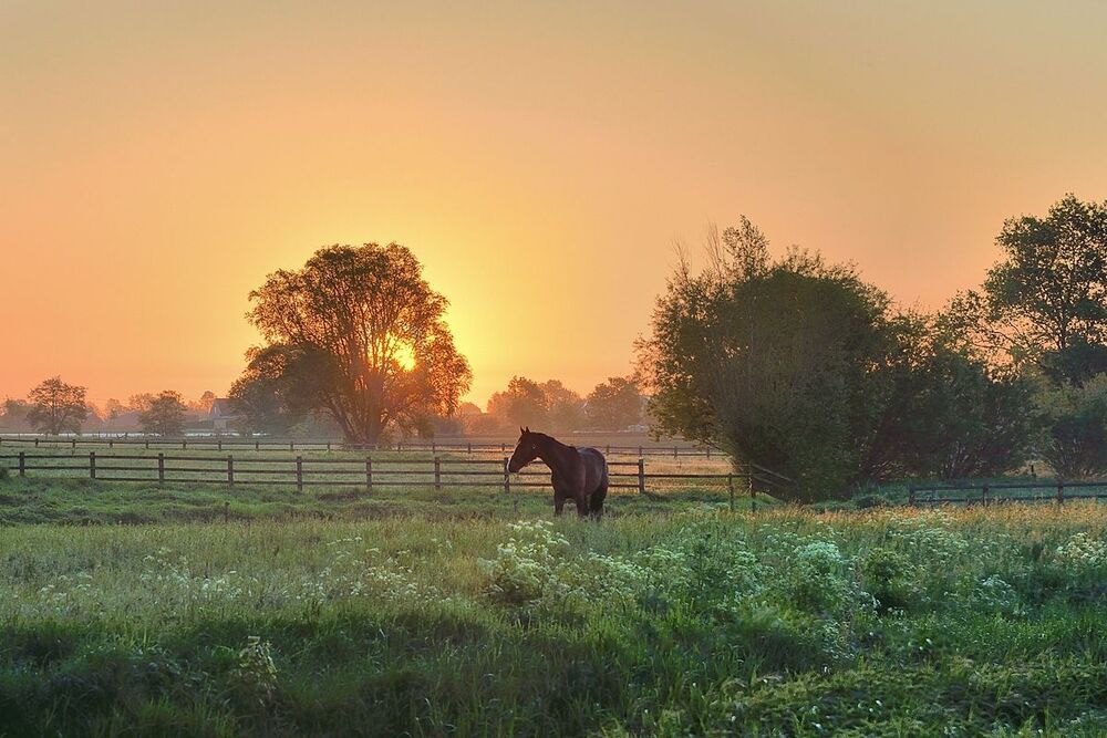 Morning in the village Werken(Belgium).