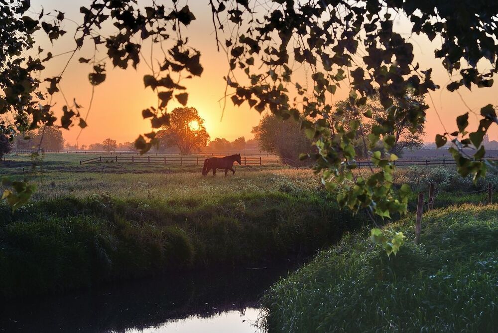 Morning in the village Werken(Belgium).