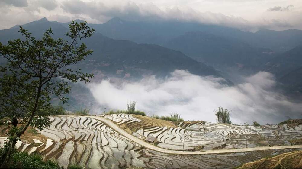 Y Ty, Vietnam