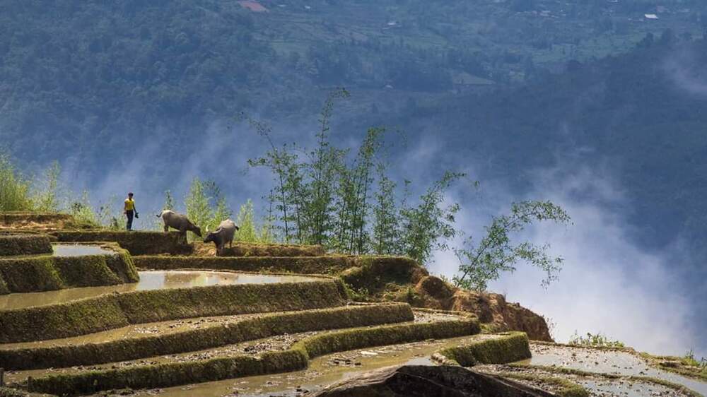 Y Ty, Vietnam
