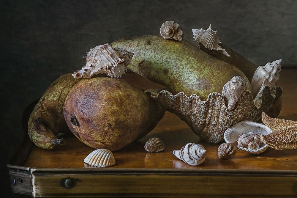 Груши в ракушках