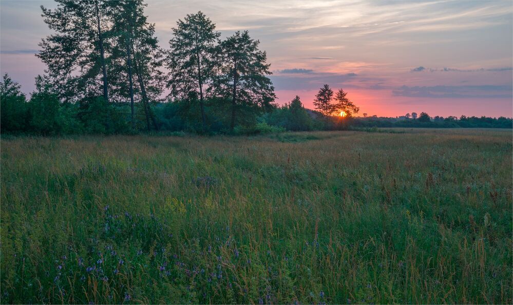 morning in the meadows...