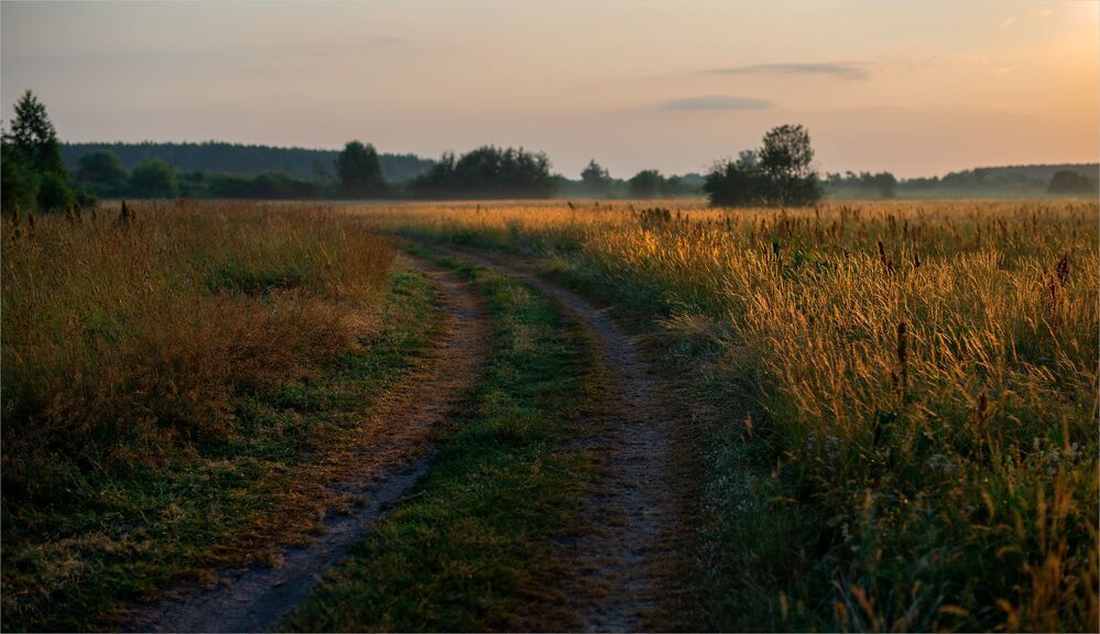 morning in the meadows...