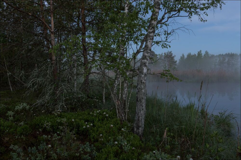 За долго до восхода