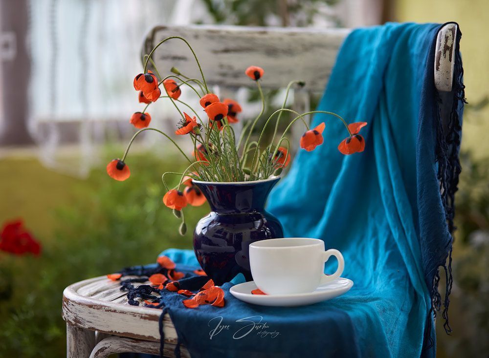 Morning poppies