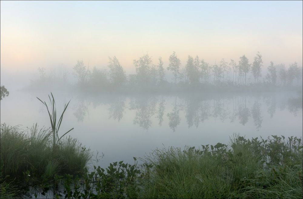 Не тронув зеркало воды, накатила новая волна тумана.