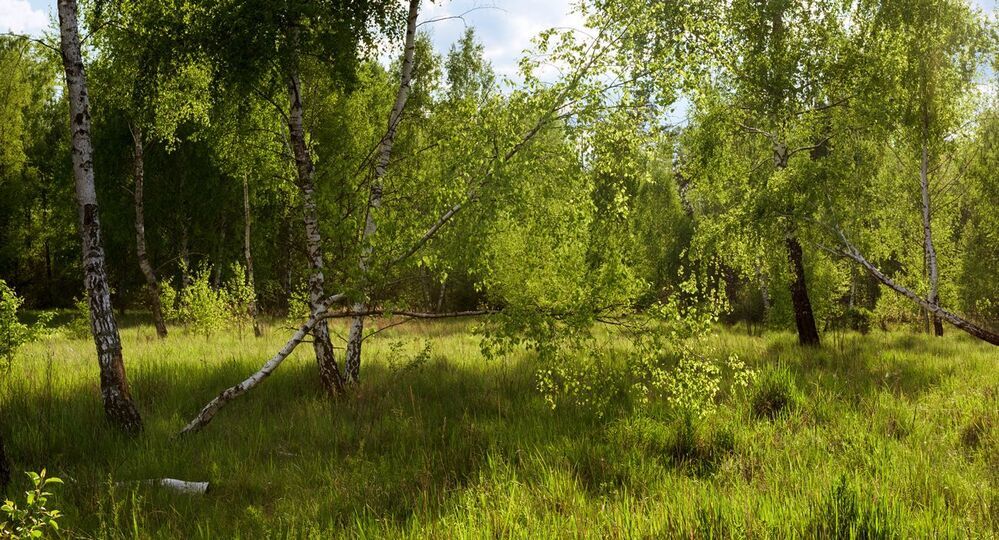Когда природа оживает в объятьях солнца и тепла