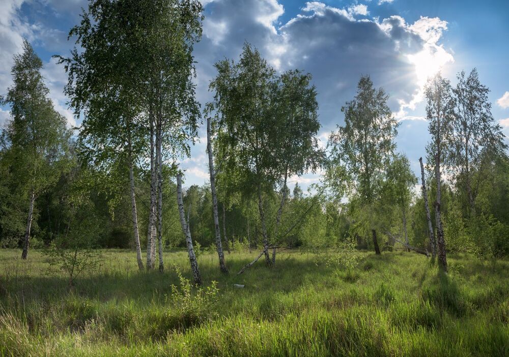 Когда природа оживает в объятьях солнца и тепла