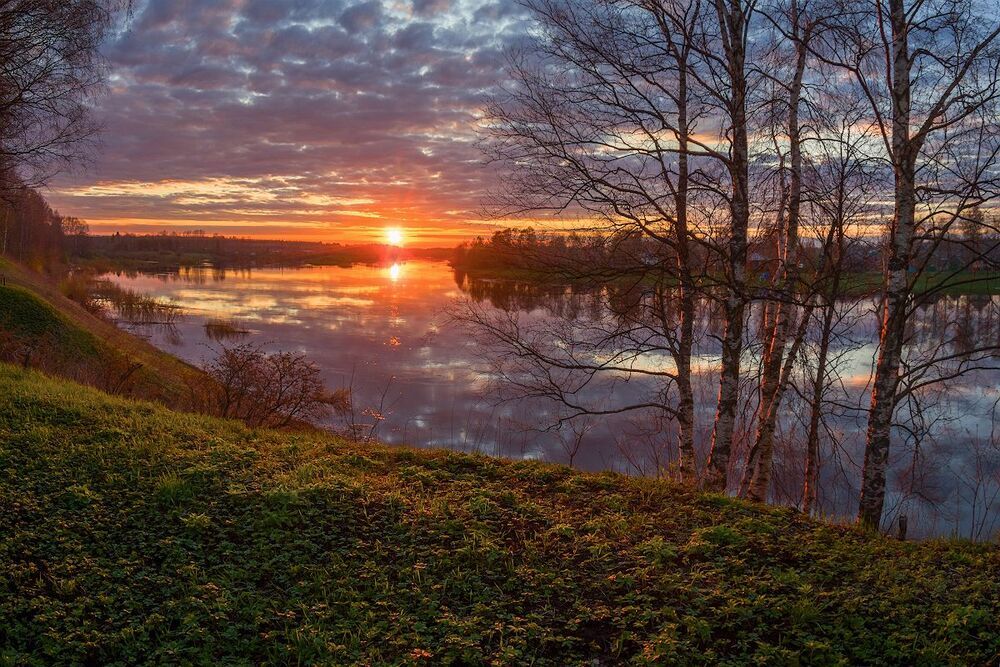 Яркая весна