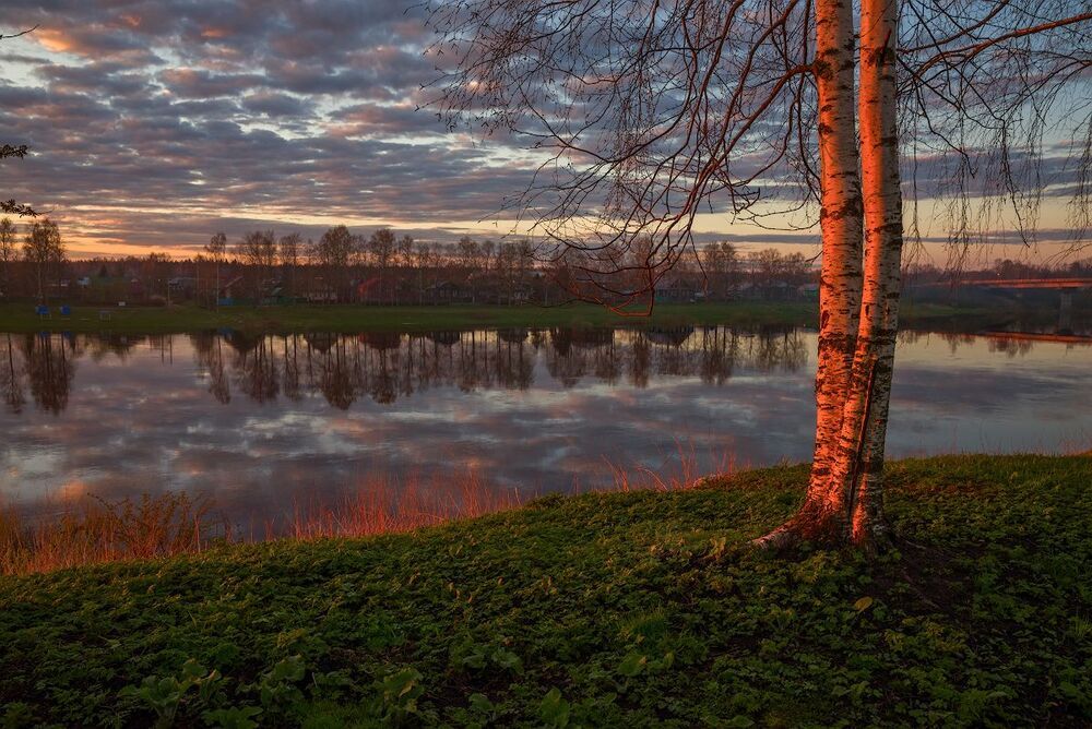 Яркая весна